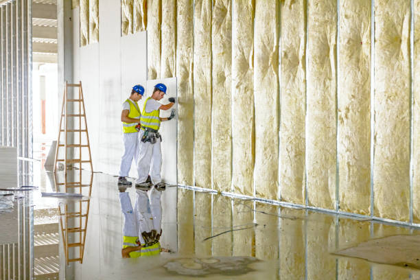 Best Crawl Space Insulation  in Huntingdon, TN